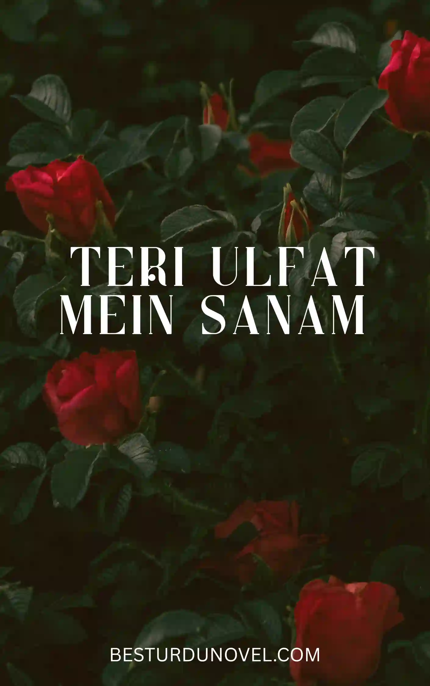 Teri Ulfat Mein Sanam By Iqra Sagheer After Marriage Novel 1 Teri Ulfat Mein Sanam