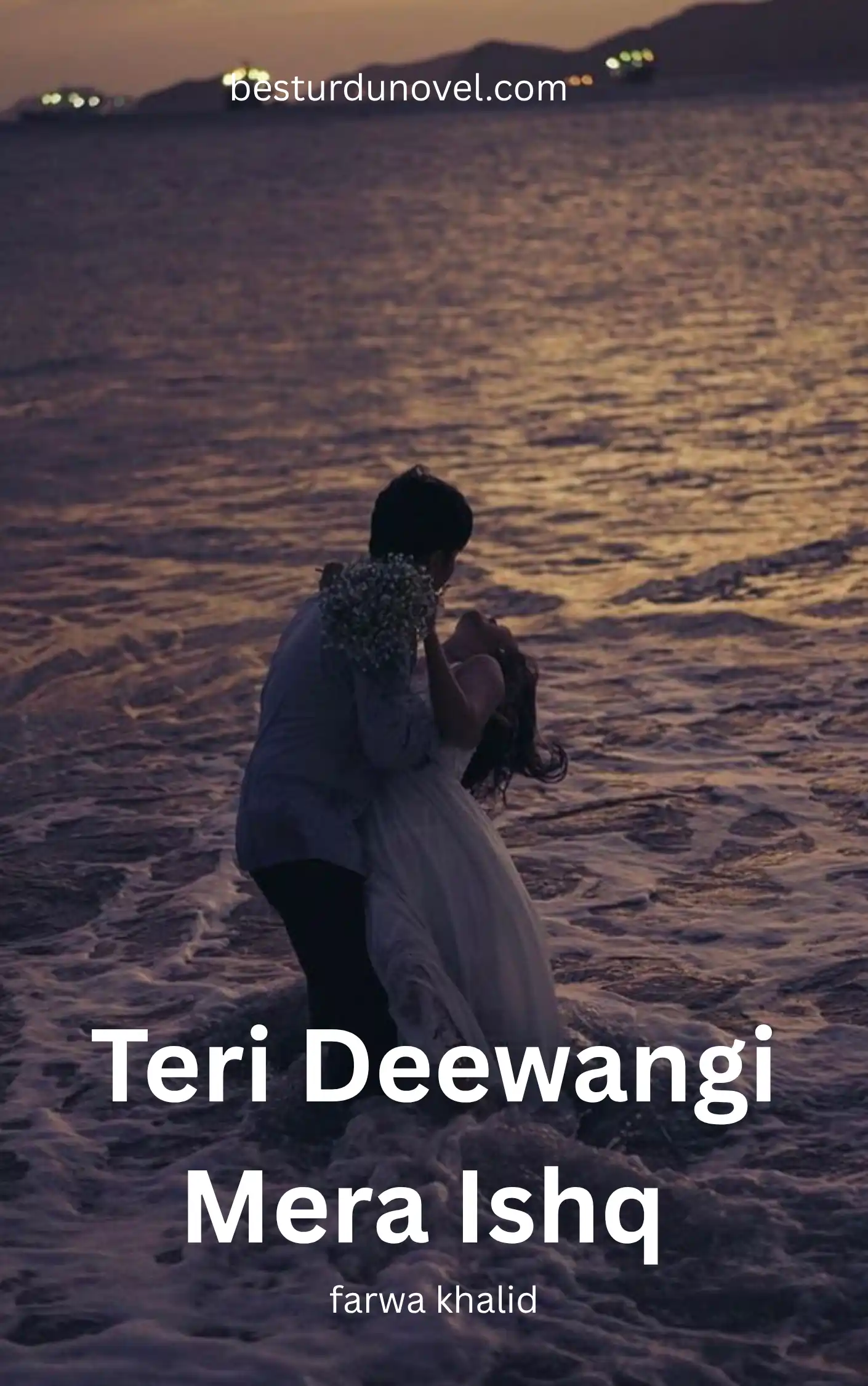 Teri Deewangi Mera Ishq