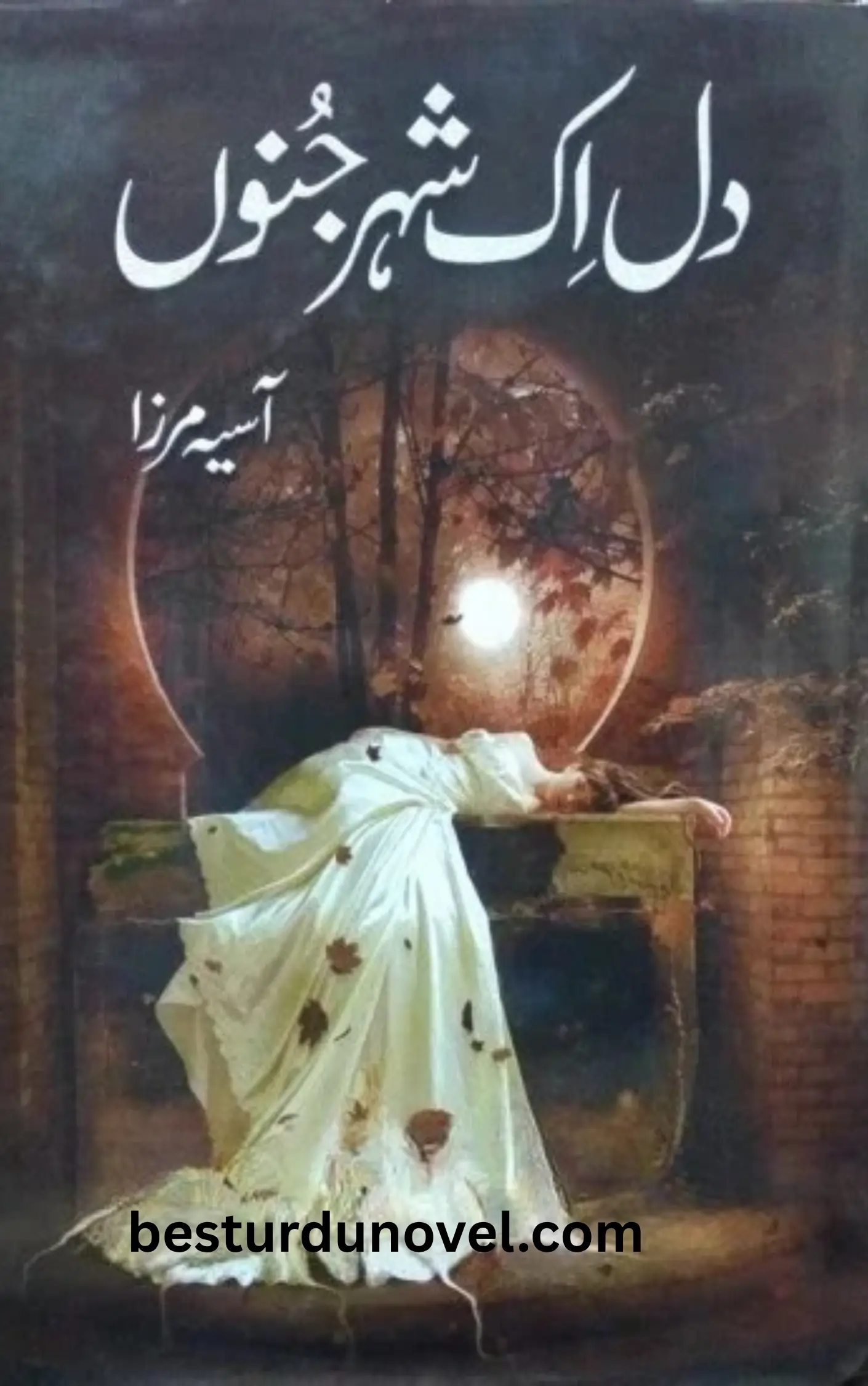 Dil Ek Shehar E Junoon