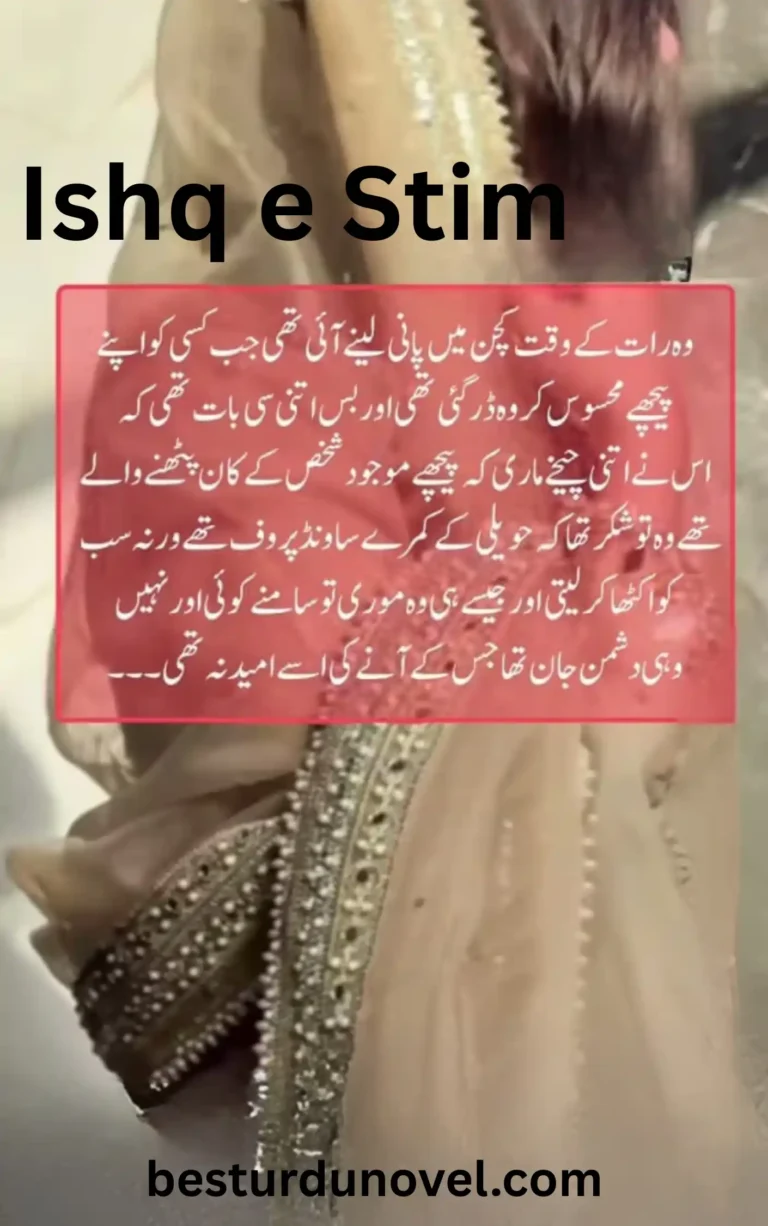 Ishq e Sitam by Miss Lana Complete Romantic Urdu Novel PDF 4 Ishq e Sitam