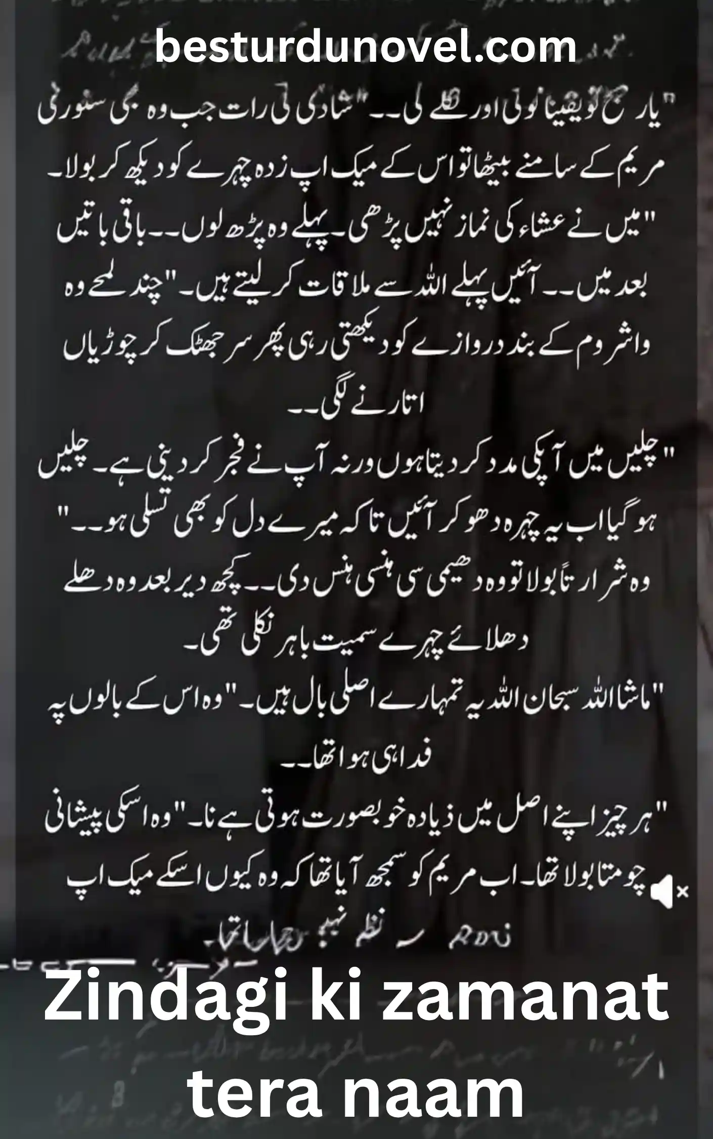 Zindagi ki zamanat tera naam by Biya Ahmed Romantic Novel 1 Zindagi ki zamanat tera naam