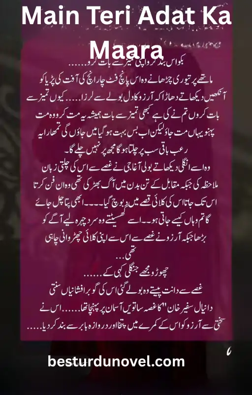 Main Teri Adat Ka Maara