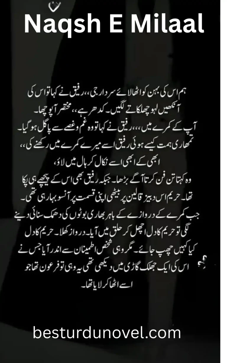 Naqsh E Milaal By Wahiba Fatima Bold Romantic Novel 1 Naqsh E Milaal