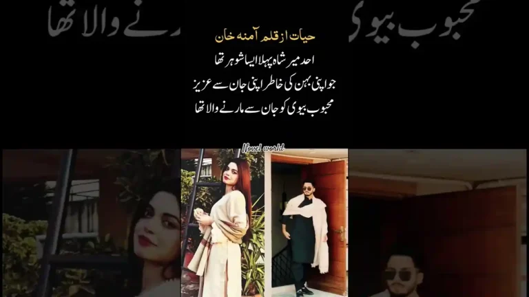 Hayat By Amna Khan Complete Revenge Based Romantic Novel