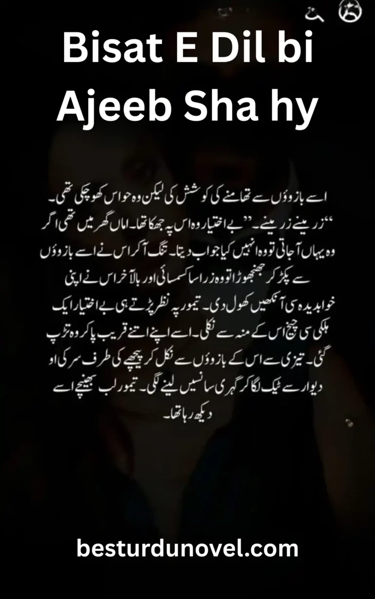 Bisat E Dil Bhi Ajeeb Shae Hai by Afshan Afridi Age Difference Digest Novel 2 Bisat E Dil Bhi Ajeeb Shae Hai