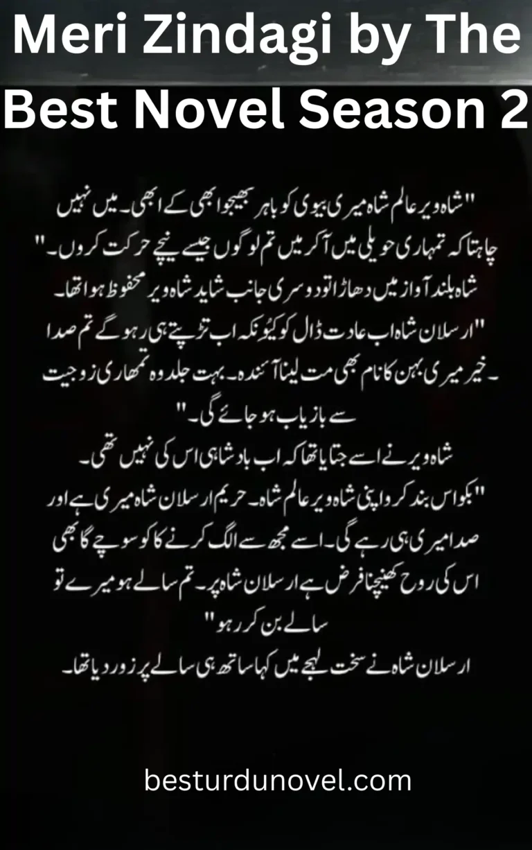 Meri Zindagi by The Best Novel Season 2 Complete bold Romantic 4 Meri Zindagi by The Best Novel Season 2 Complete bold Romantic