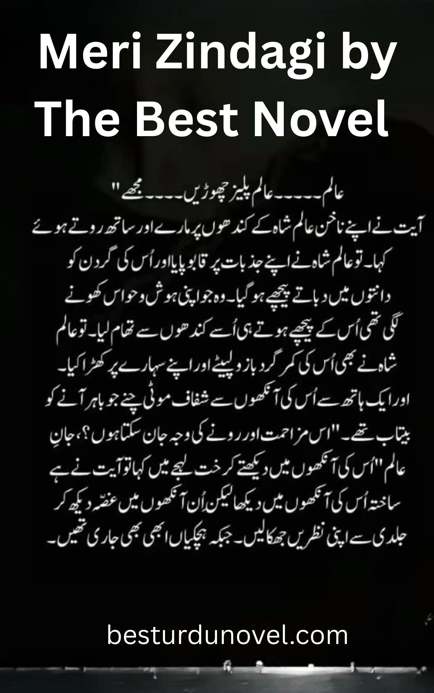 Meri Zindagi by The Best Novel