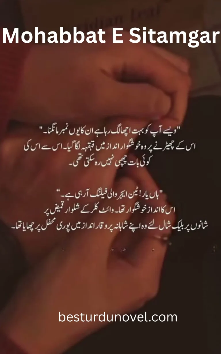 Mohabbat E Sitamgar By Anaya wadra based Romantic Novel 3 Mohabbat E Sitamgar