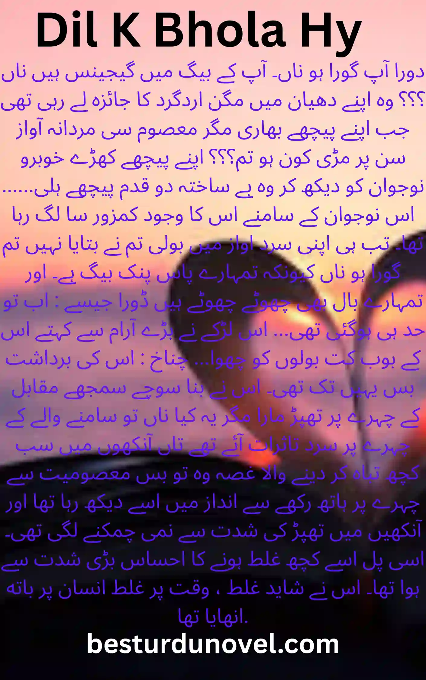 Dil K Bhola Hy by Noor E Arooj Mental Disable Hero Novel 1 Dil K Bhola Hy