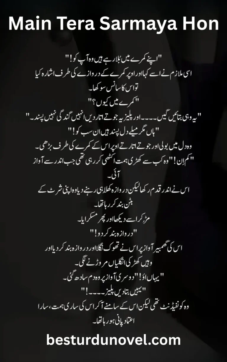 Main Tera Sarmaya Hon