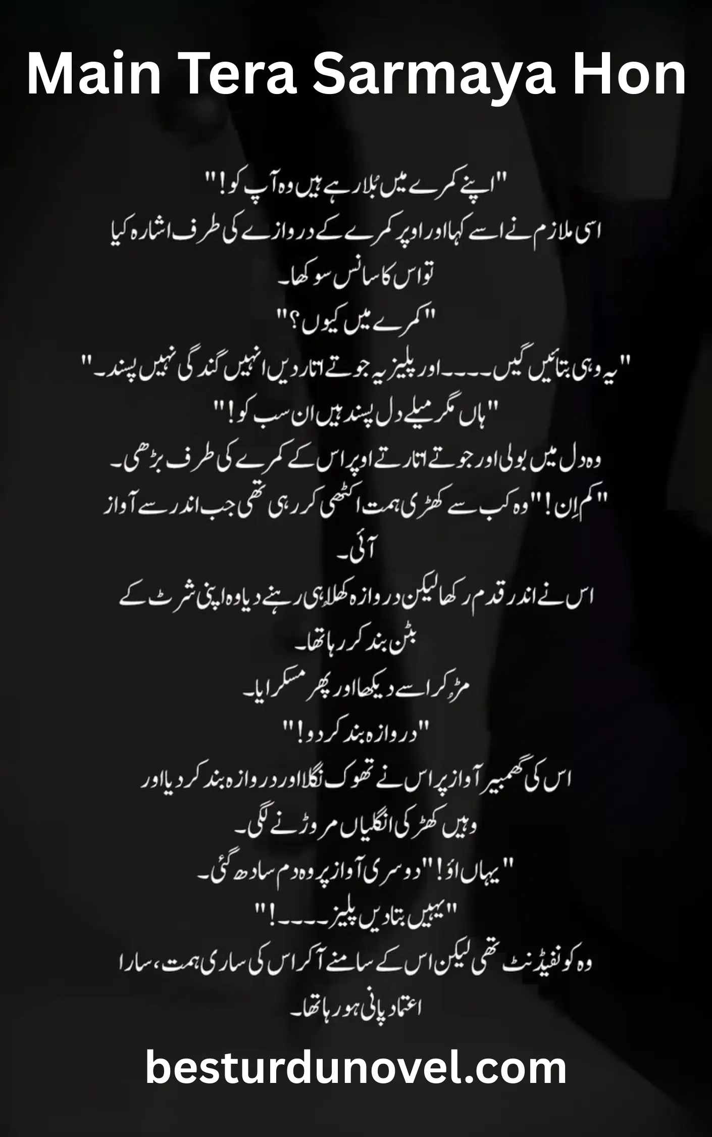 Main Tera Sarmaya Hon