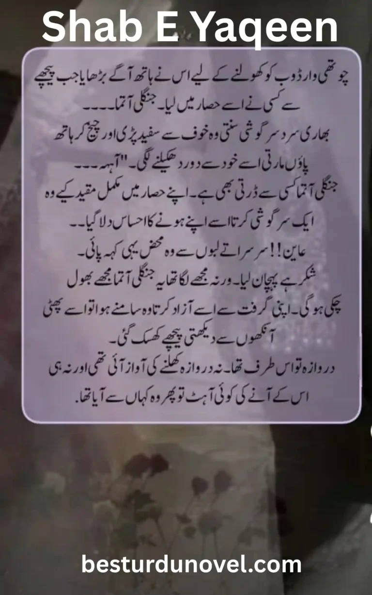 Shab E Yaqeen By Hadiya Mughal Long Romantic Novel 3 Shab E Yaqeen