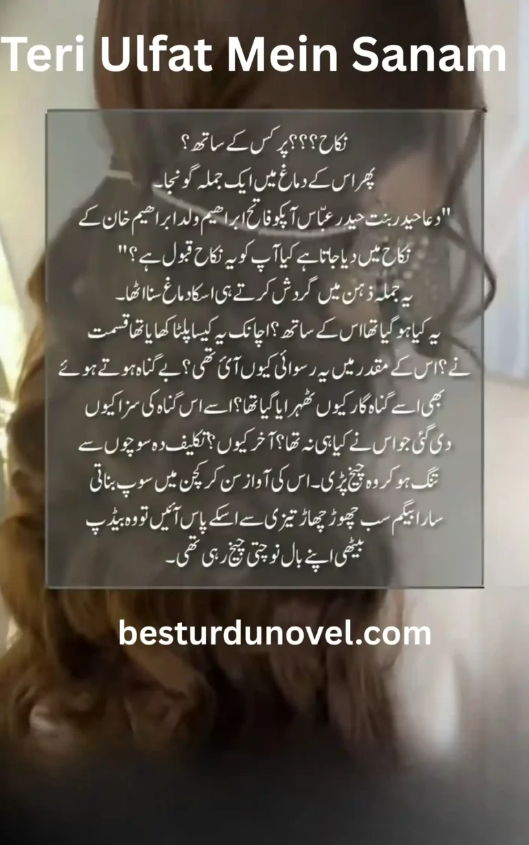 Teri Ulfat Mein Sanam Novel By Meem Ain Revenge based